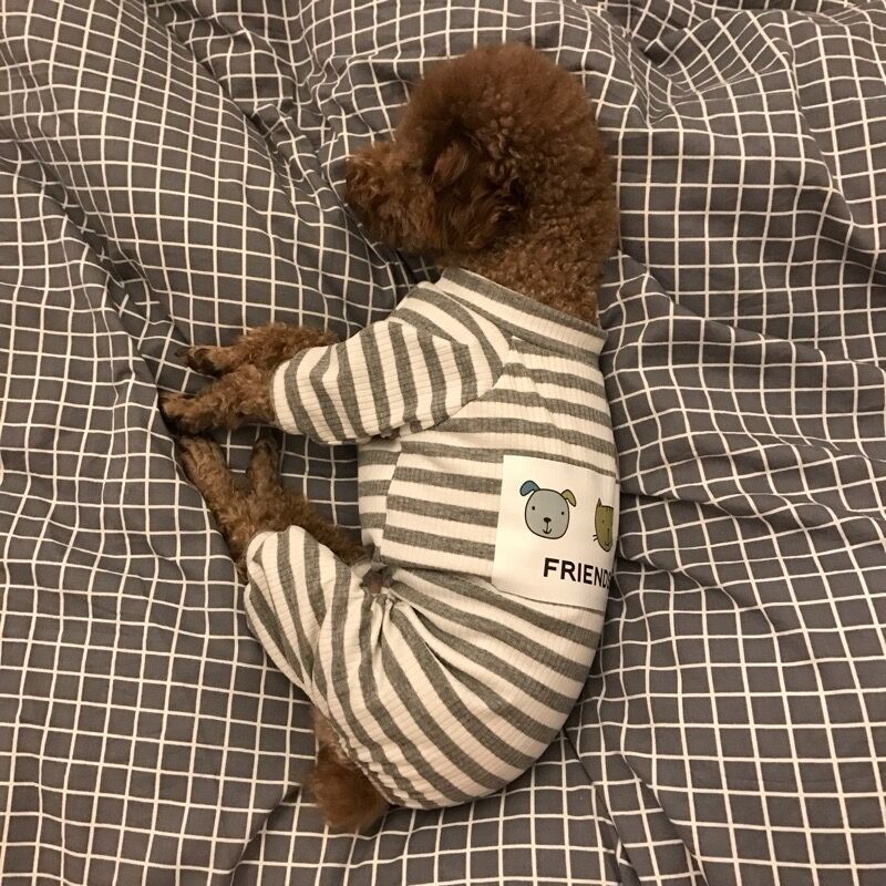 Pet Soft And Comfortable Home Clothes Small