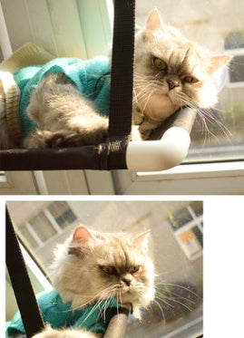 Cat Bed Cat Hammock Cat Hammock Window