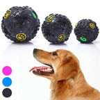 Paw Primes Tricky Treat Ball