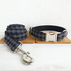 Pet Leash Training Dog Leash