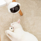 Automatic Lifting Toy Electric Funny Cat Toy