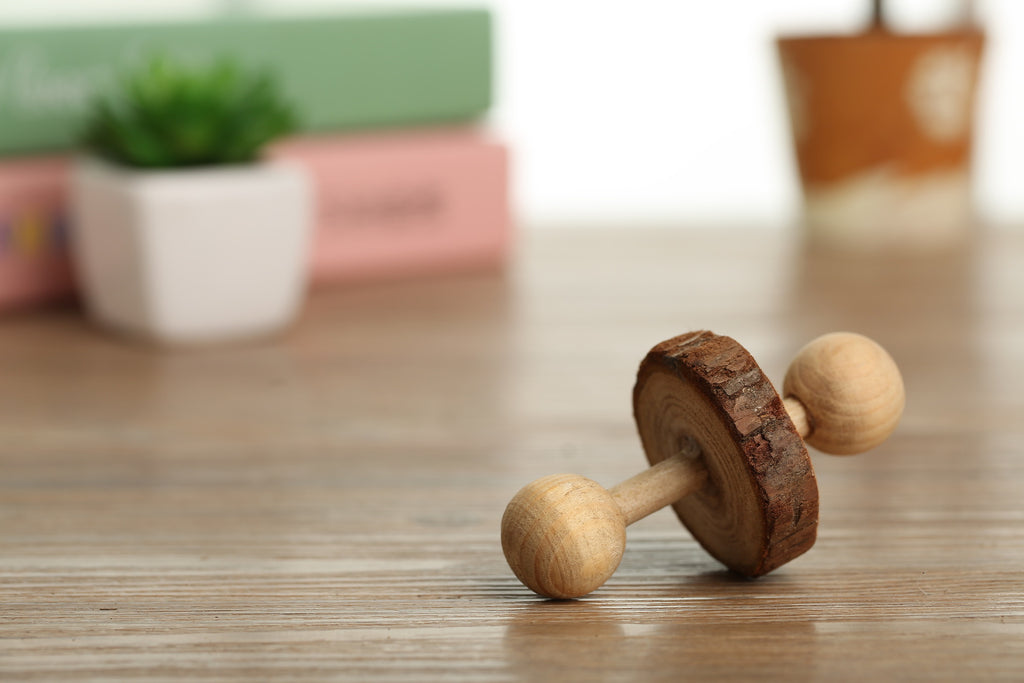 Wooden Toy