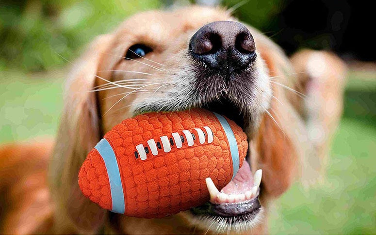 Dog Toy Bite Resistant Teeth Cleaning Latex