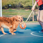 Jianbao Ball Dog Toy Bite Resistant Pet