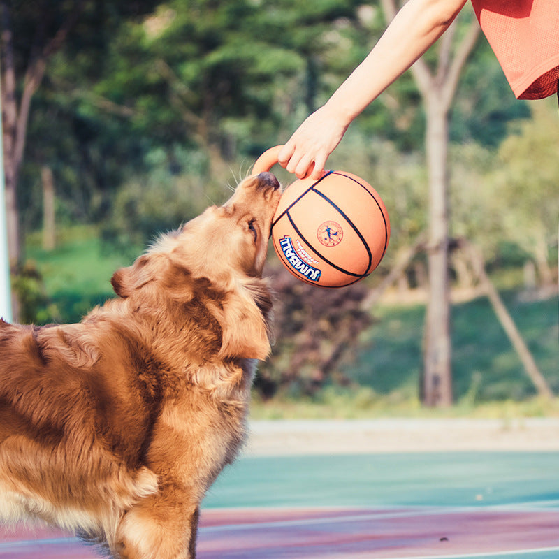 Jianbao Ball Dog Toy Bite Resistant Pet