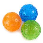 Bite Resistant And Molar Puppies Pet Supplies