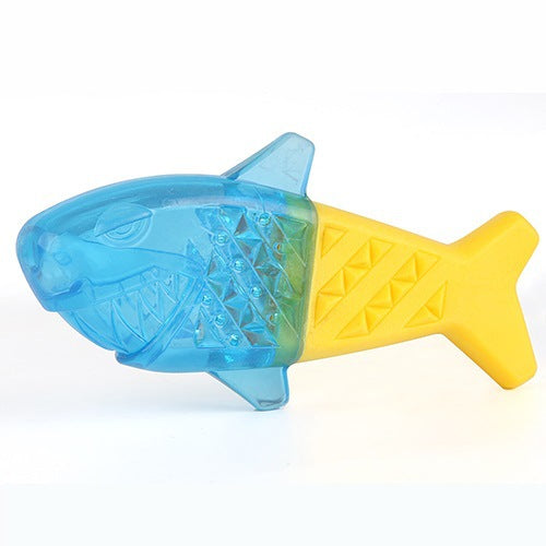 Pets Can Be Filled With Water And