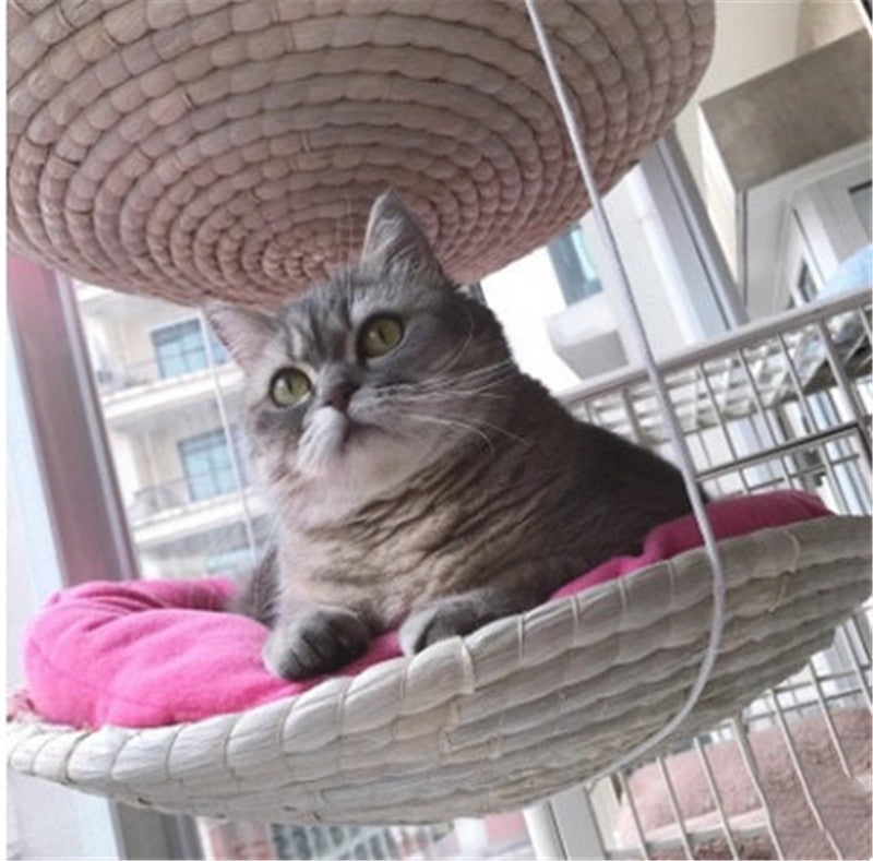 Cat Climbing Frame Cat Litter Cat Tree
