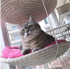 Cat Climbing Frame Cat Litter Cat Tree