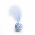 Starry Sky Ball Plus Feather Cat Toy