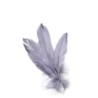Pet Tumbler Feather Cat Teaser From Hi