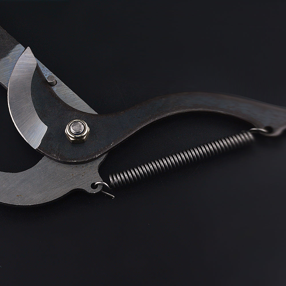 Telescopic Long-Reach Branch Pruning Shears