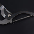 Telescopic Long-Reach Branch Pruning Shears