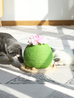 Cat Grinding Paw Toy