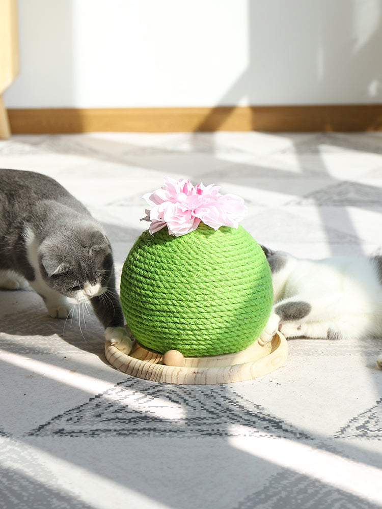Cat Grinding Paw Toy