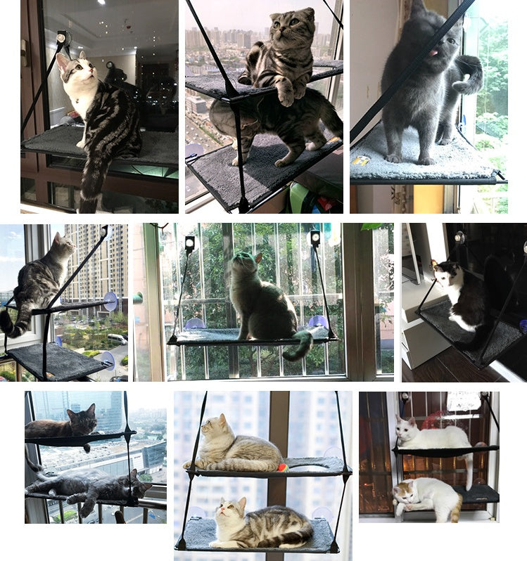 Cat Bed Cat Hammock Cat Hammock Removable
