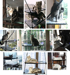 Cat Bed Cat Hammock Cat Hammock Removable