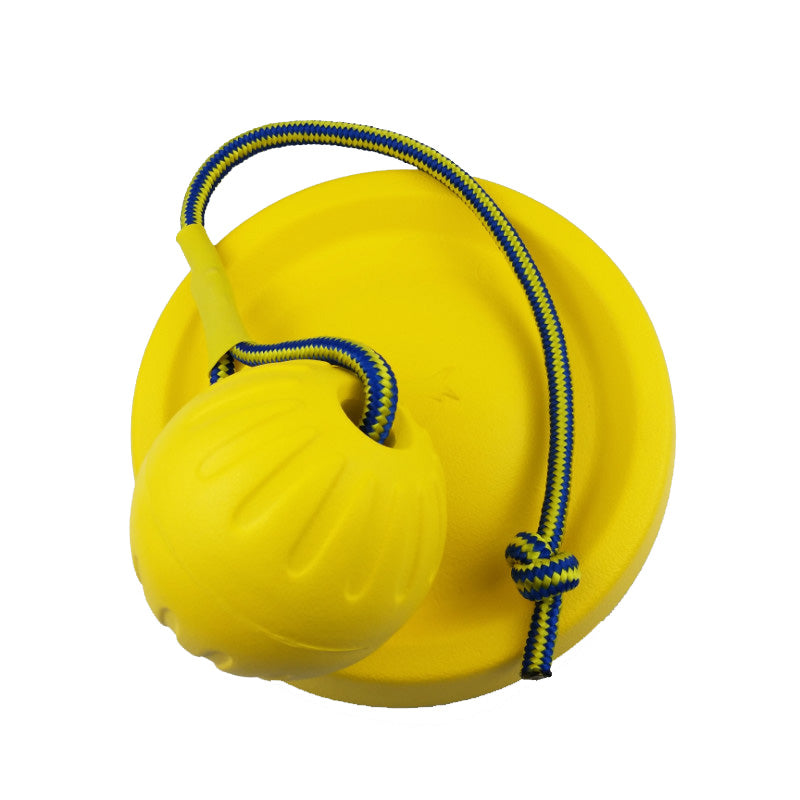 Eva Pet Ball Dog Toy