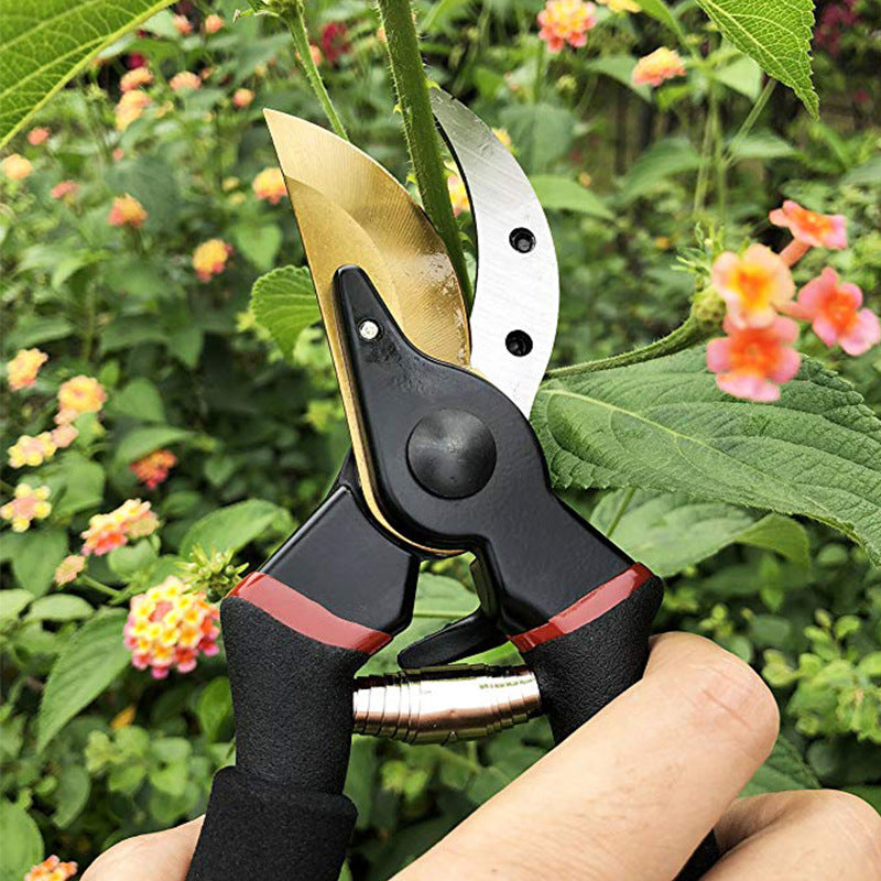 Professional Garden Pruning Shears