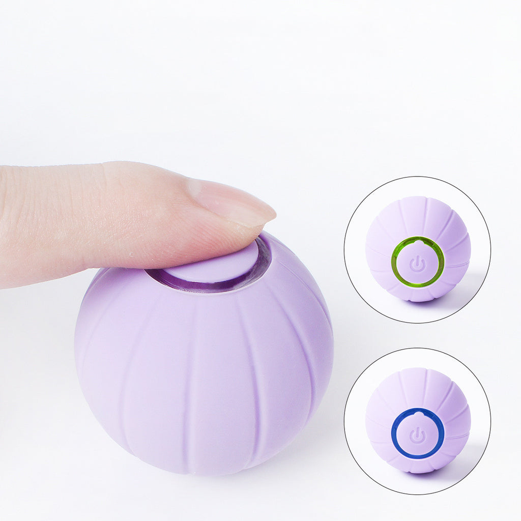 Smart Bouncing Rolling Silicone Ball Toy Funny