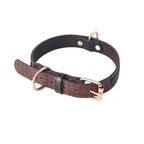 Pet Leash Dog Leash Dog Collar Dog