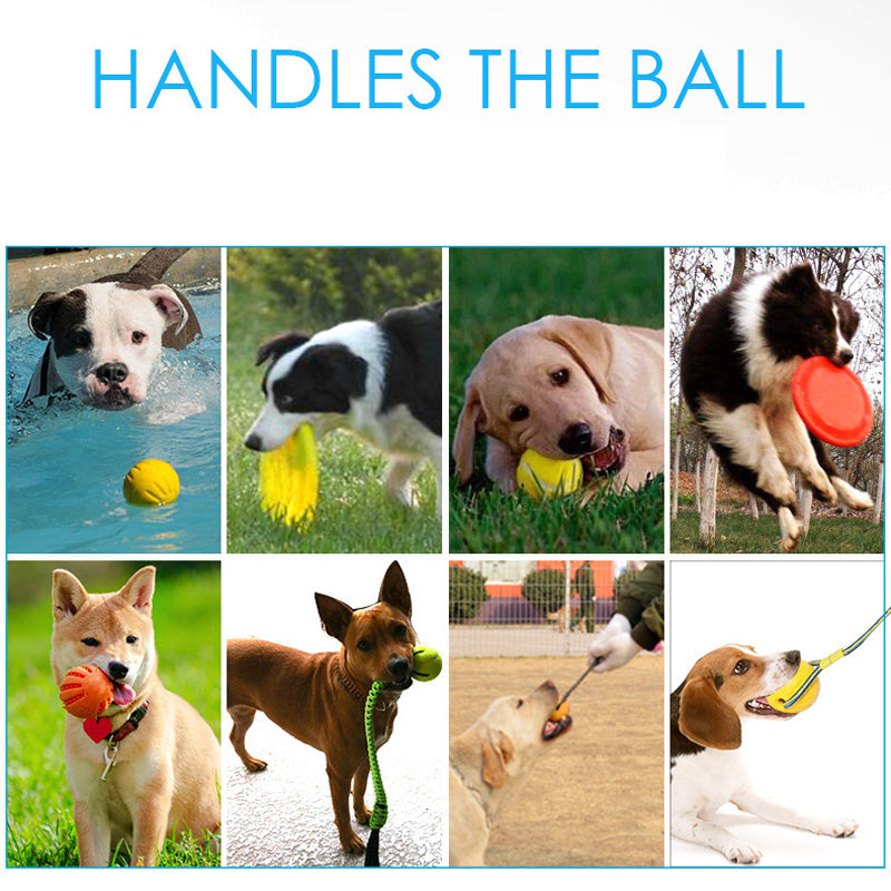 Eva Pet Ball Dog Toy