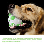 Spherical Dog Toy Molar Rod