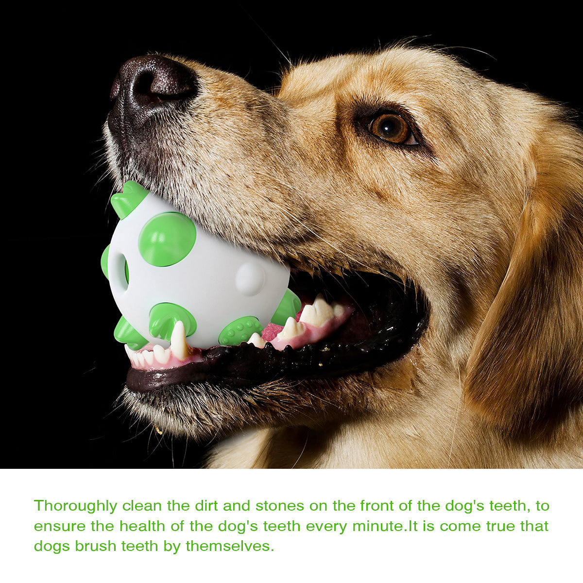 Spherical Dog Toy Molar Rod