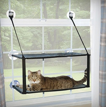 Cat Bed Cat Hammock Cat Hammock Removable