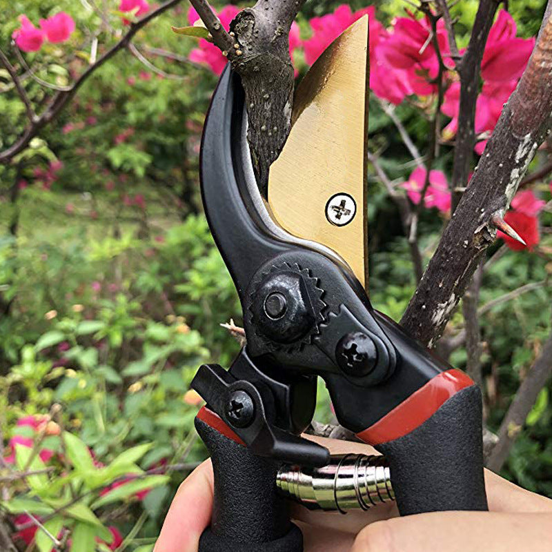 Professional Garden Pruning Shears