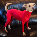 Pet Dog Jumpsuit Medium Large Dog Pajamas