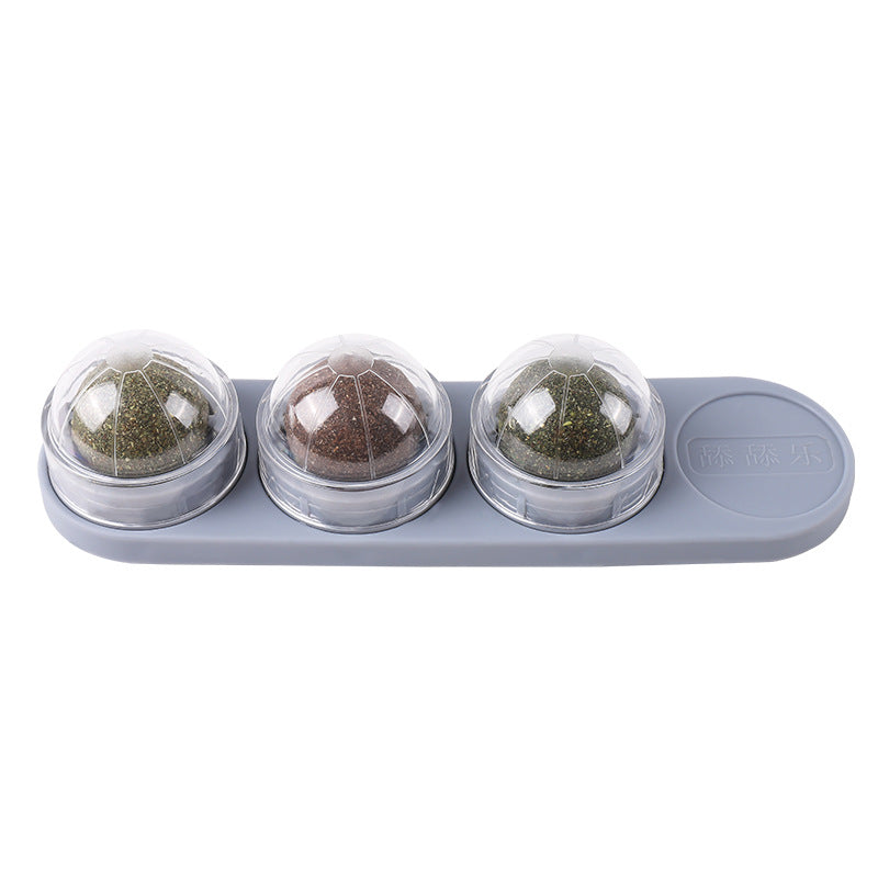 Cats Molars Cleaning Teeth Biting And Digesting