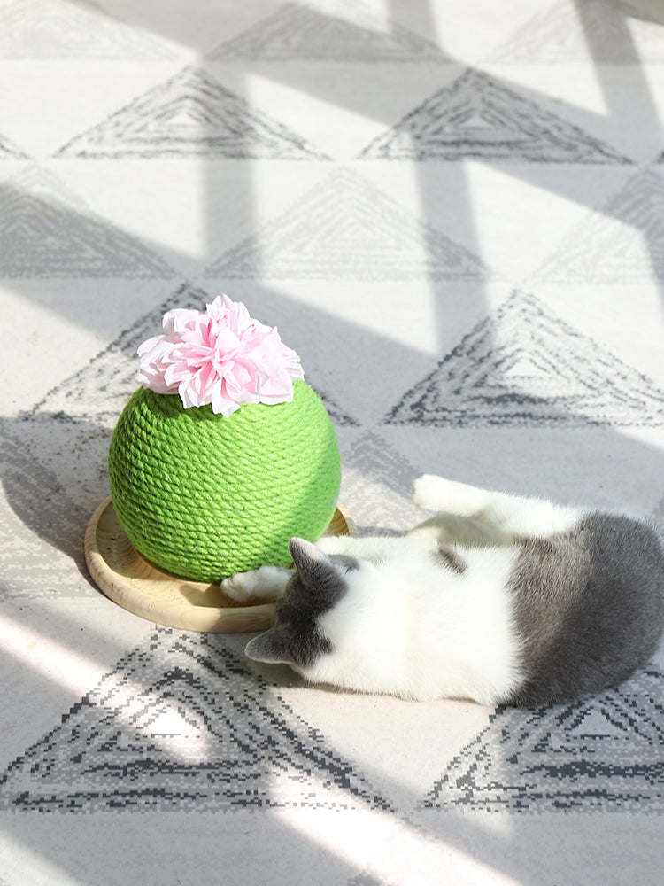 Cat Grinding Paw Toy