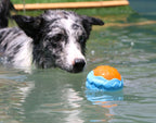 Dog Toy Ball Audible Glow Can Float
