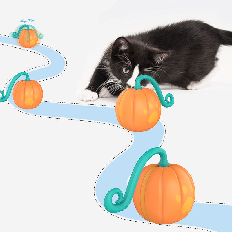 Electric Cat Pets Toy Smart Funny Cat