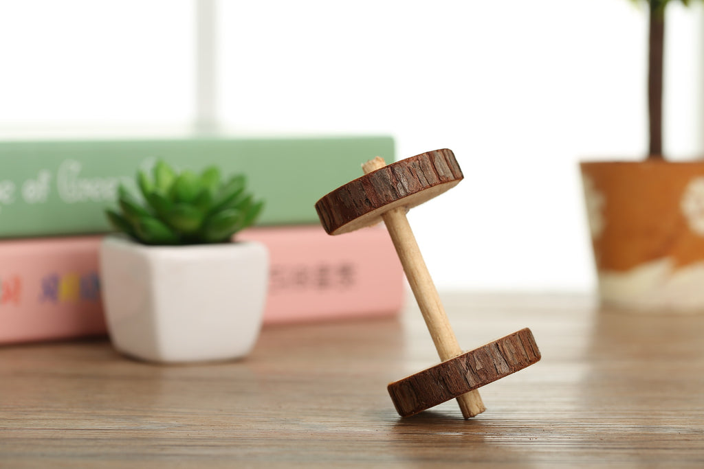 Wooden Toy