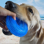 Pet Toy Bite Resistant Sounding Toy Ball