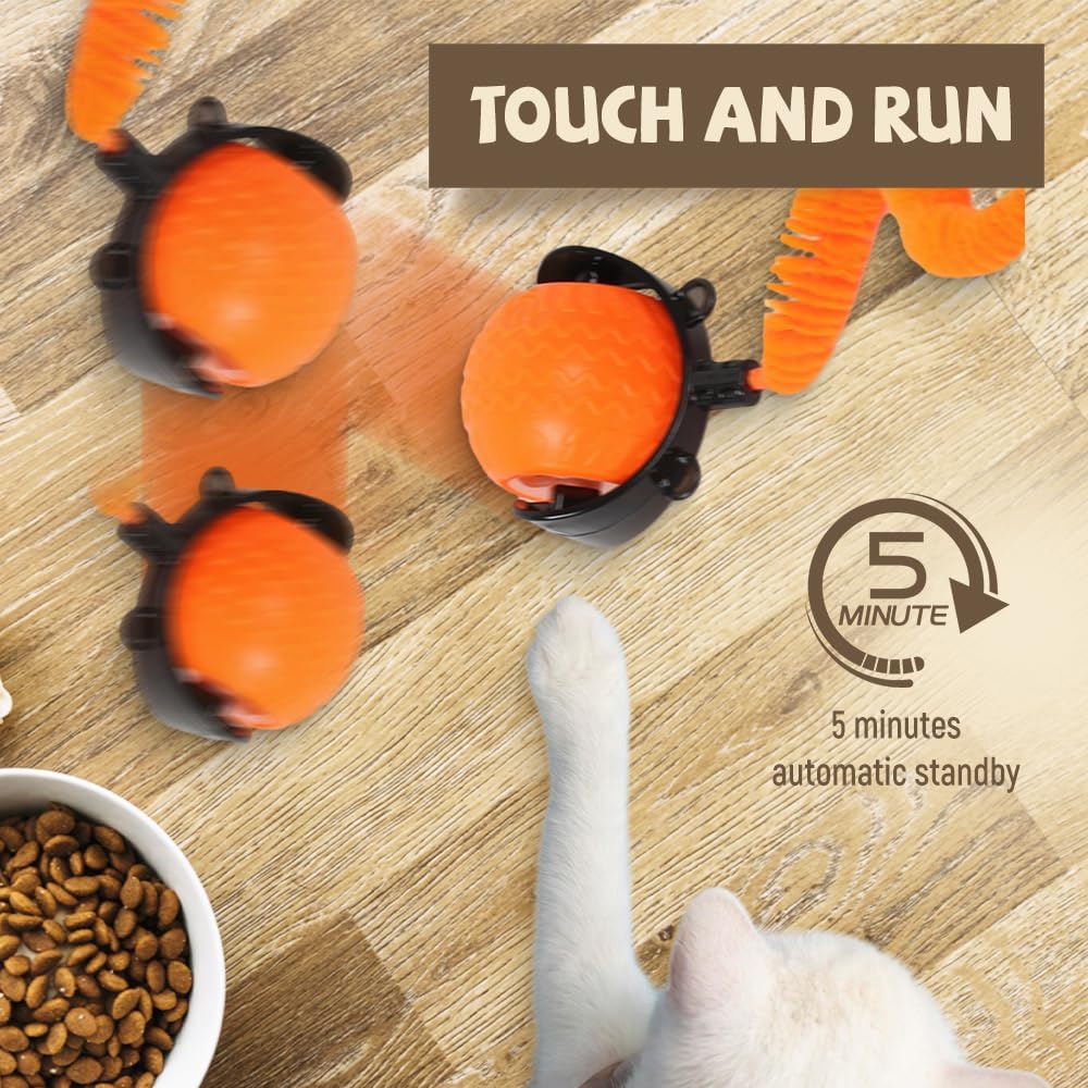 Interactive Cat Ball Toy