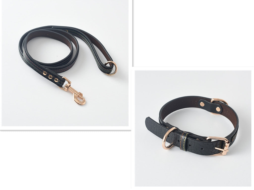 Pet Leash Dog Leash Dog Collar Dog