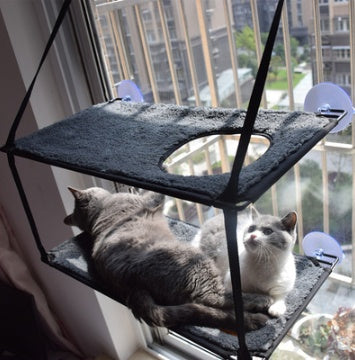 Cat Bed Cat Hammock Cat Hammock Removable