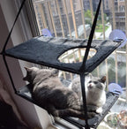 Cat Bed Cat Hammock Cat Hammock Removable