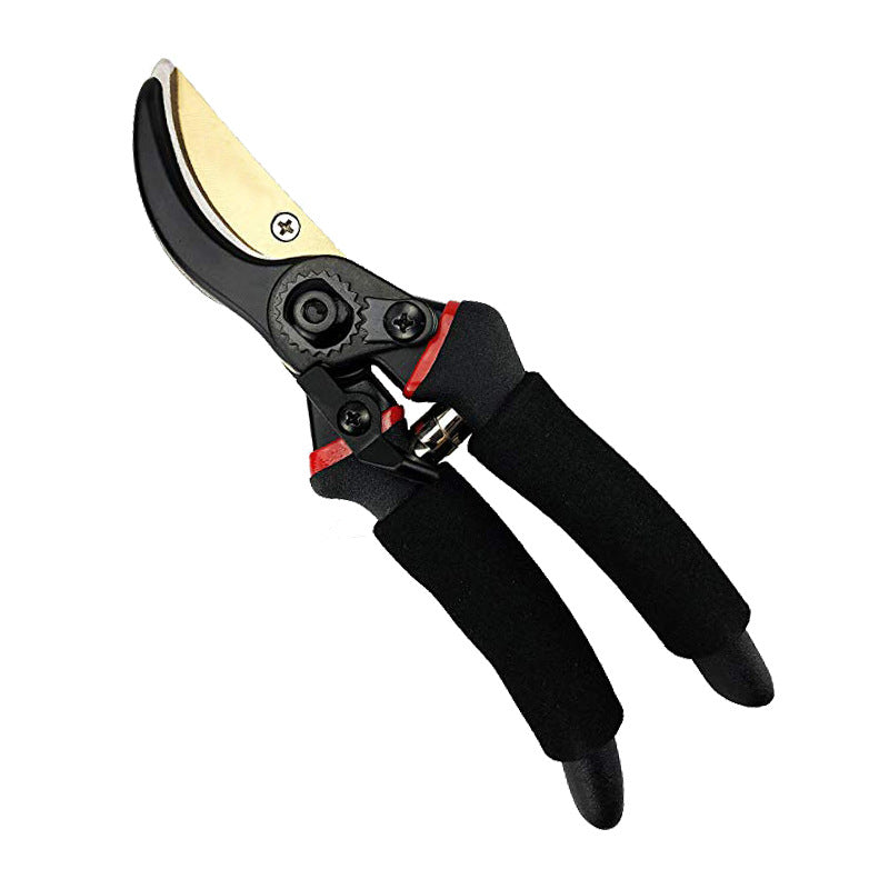 Professional Garden Pruning Shears