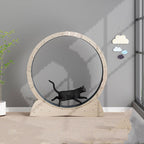 Cat Silent Treadmill Roller Large Weight Loss