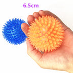 Large Dog Vocal Toy Ball Stab Massage