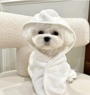 Dog Four Seasons Can Wear Bath Dry