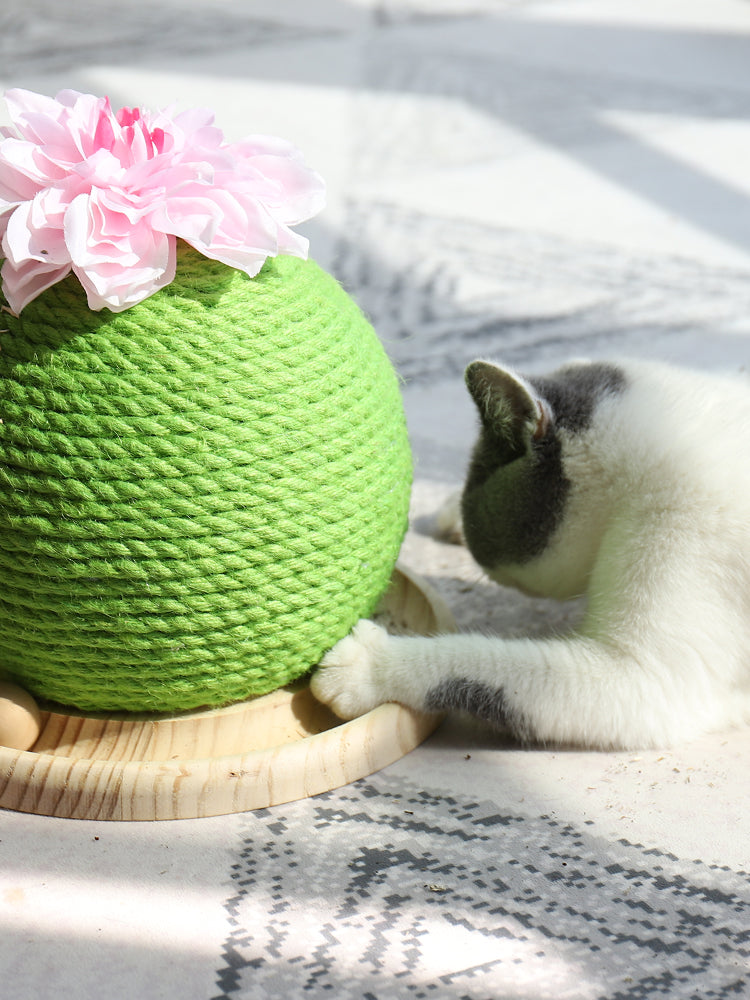 Cat Grinding Paw Toy