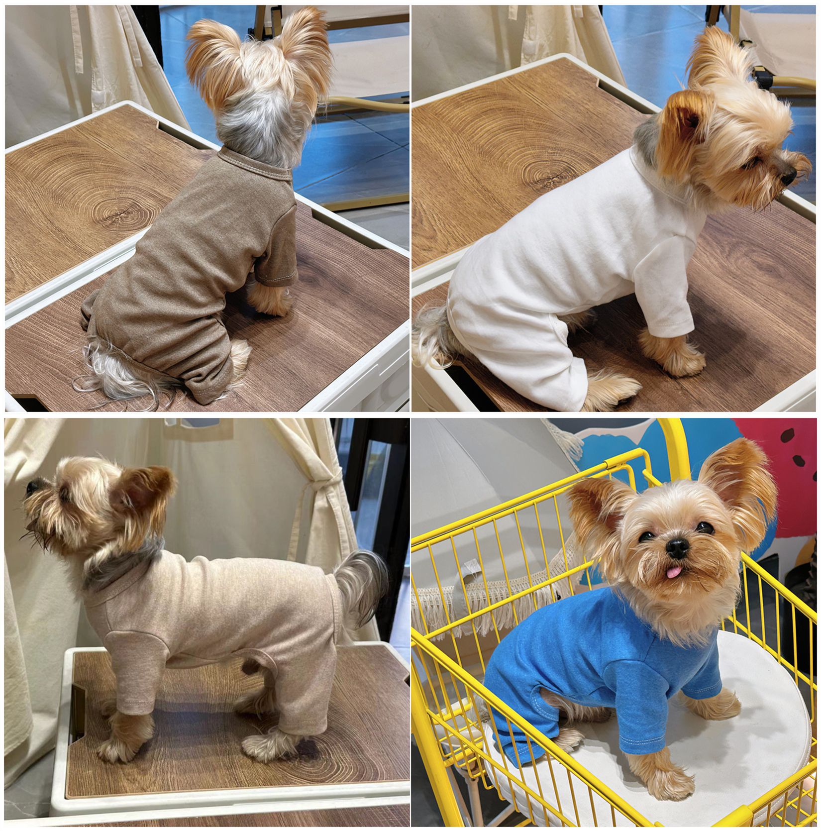 Pet Clothing For Small Dogs Four Legged