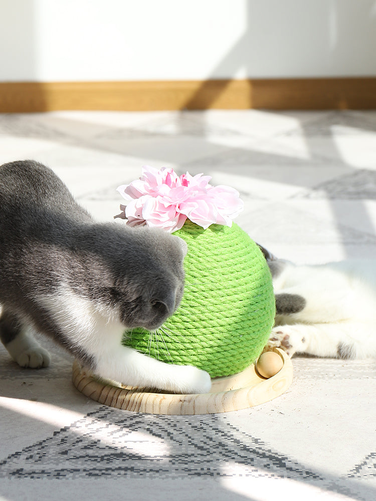 Cat Grinding Paw Toy