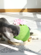 Cat Grinding Paw Toy