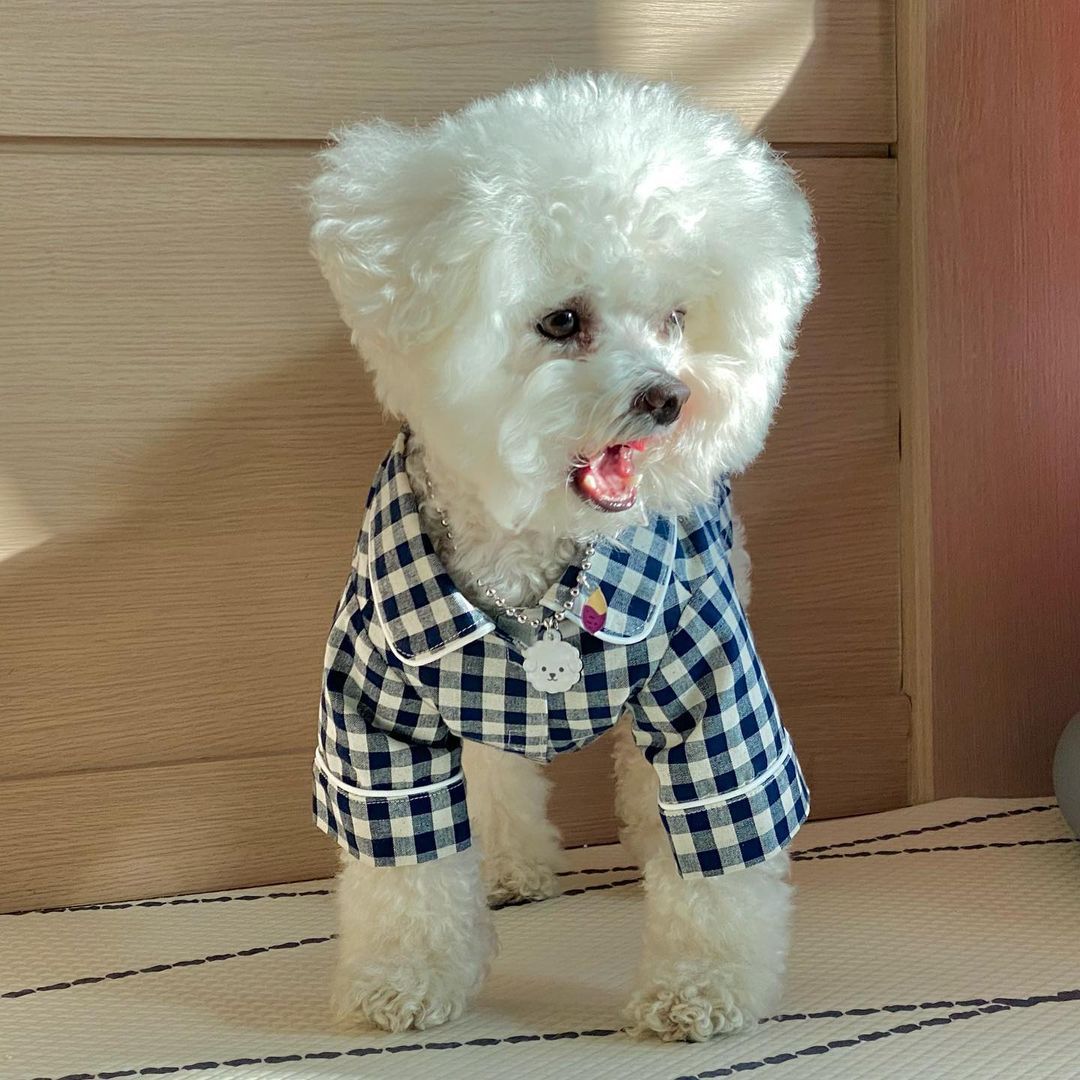 Korea Plaid Khaki Blue Pocket Pajamas For